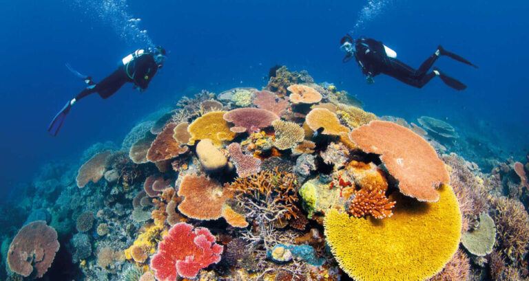 great barrier reef queesland