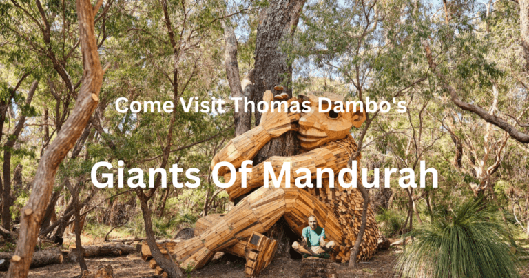 Thomas Dambo's Giants of Mandurah