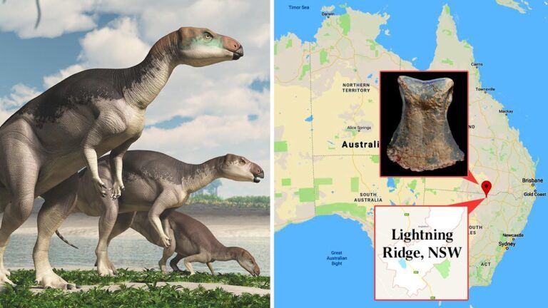 lightening ridge fossil map