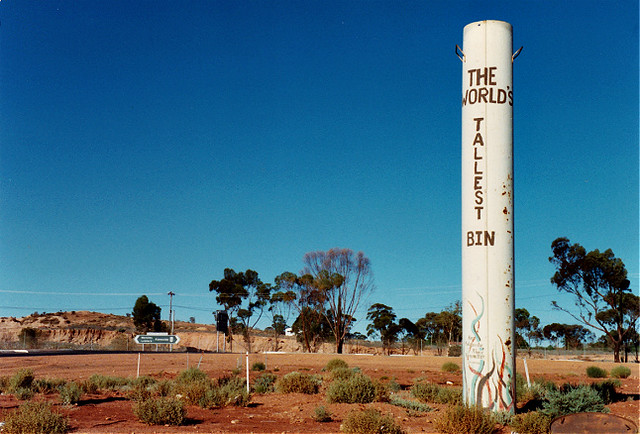 the worlds tallest bin