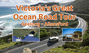 Great Ocean Road Tour