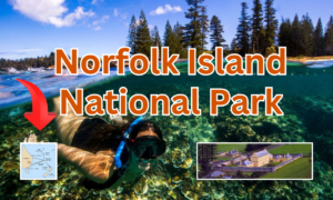 Norfolk Island National Park